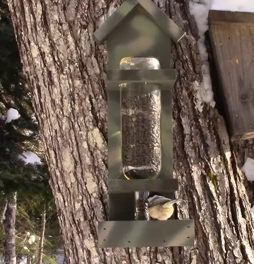 Diy Corked Wine Bottle Feeder