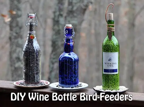 Stunning Wine Bottle Feeders
