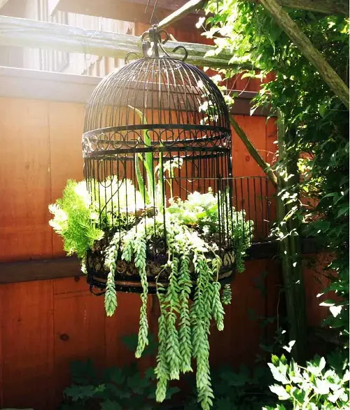 DIY Bird Cage Succulent Garden