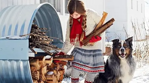  Best Homemade DIY Firewood Racks Ideas