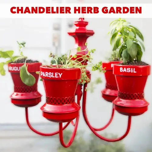 Old Chandelier Into This Magical Herb Garden