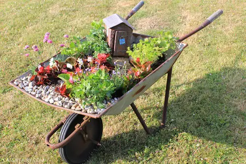 FAIRY ALLOTMENT