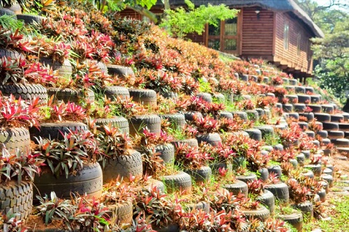Ideas for Tyre Gardens You Should Consider 26