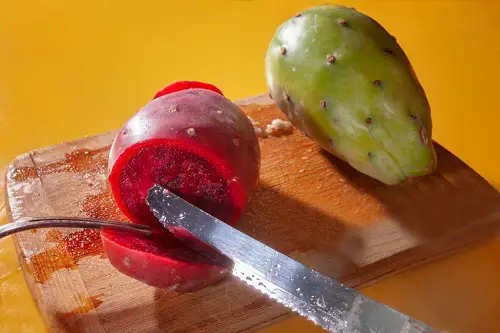  Edible Succulents and Cacti