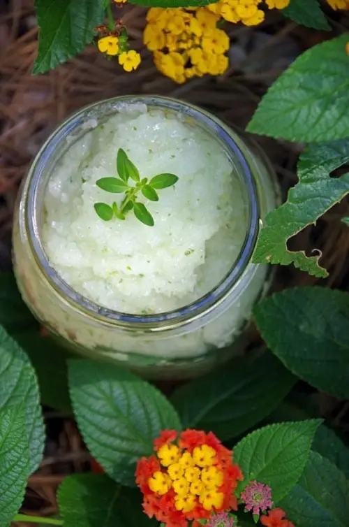 Lemon and Thyme Gardener Hand Scrub 14