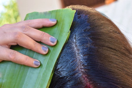 Aloe Vera Benefits 25