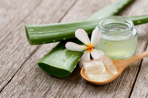 Aloe Vera Benefits Helpful in Stomach Cancer