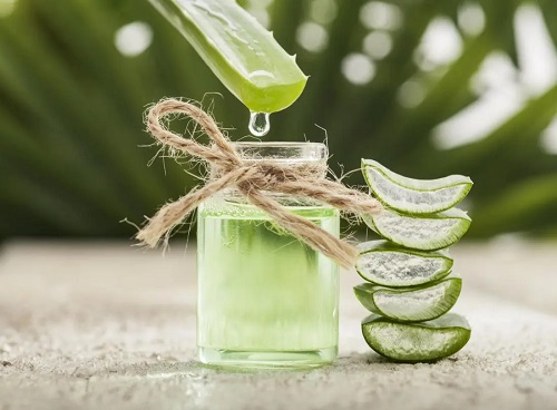 Aloe Vera Benefits Promotes a Healthy Digestive System