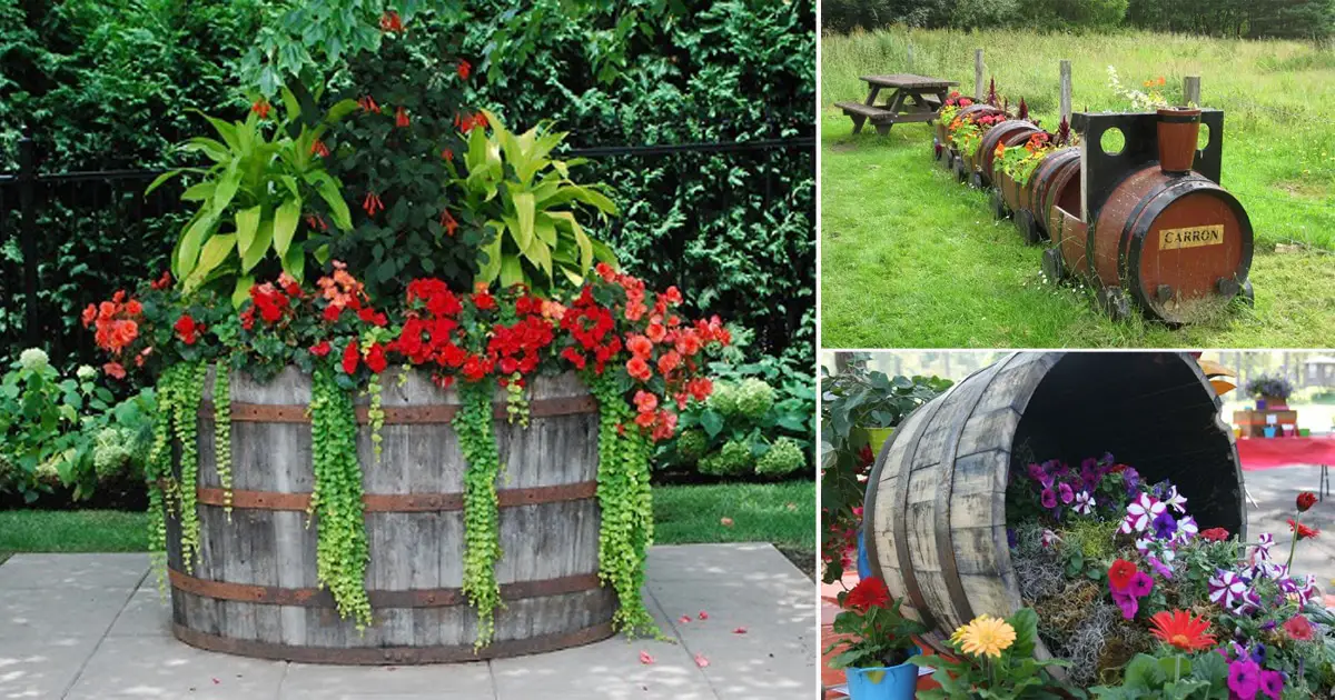 17 Ingeniously Creative Diy Wine Barrel Ideas For Garden Balcony 17 Ingeniously Creative Diy Wine Barrel Ideas For Garden Balcony Web