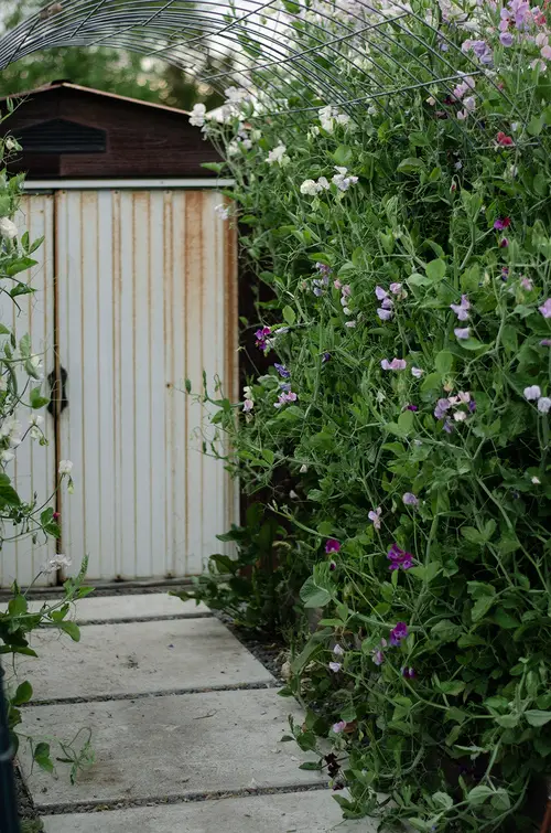 Arched Trellis for Garden