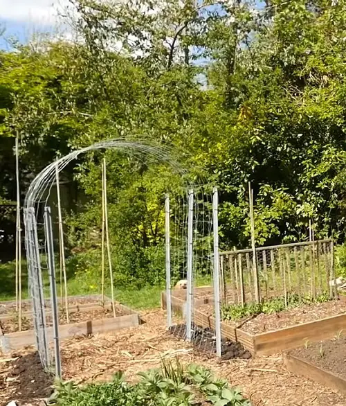 Wood Board and Wire Mesh Trellis