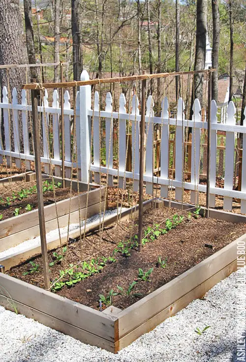 Rope and Wood Trellis