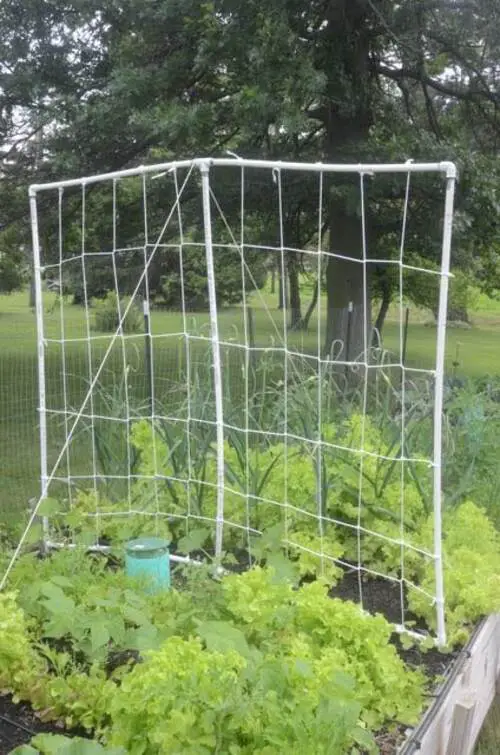 PVC Garden Trellis