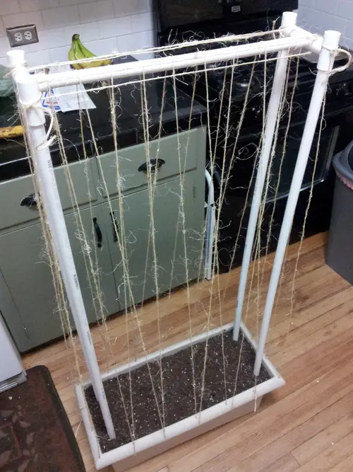 Adjustable Pea Trellis Idea