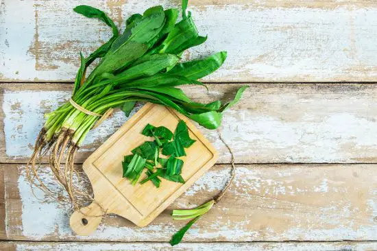 List of Cooking Herbs for your dinner table 
