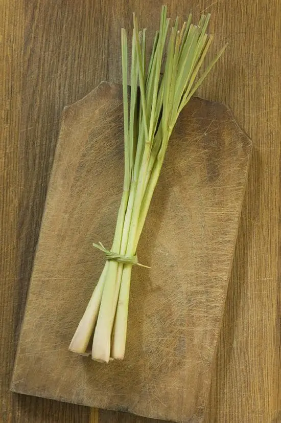 List of Cooking Herbs with so many uses 