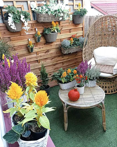 Wooden Planks on Wall to Hang Planters balcony wall idea