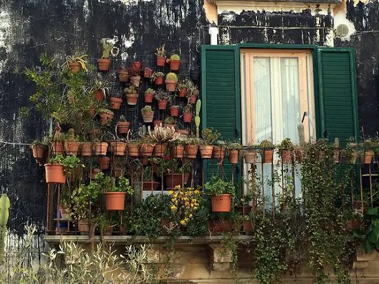 How to create a balcony succulent garden