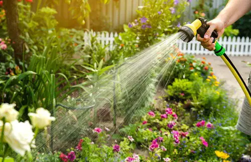 Spraying with Hose Sprayer