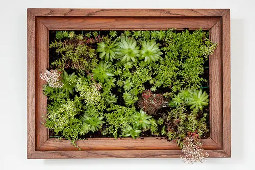 DIY Vertical Succulent Garden Ideas 31