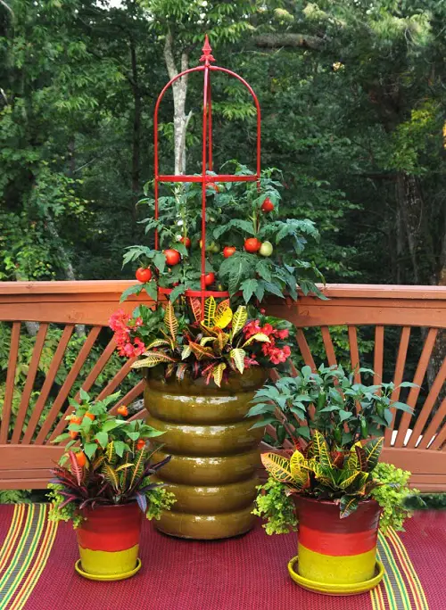 Decorative Plant Supports