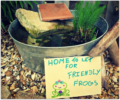 Tub Water Garden with Wildlife