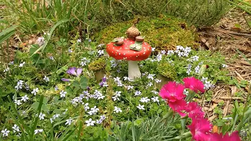 Fairy Garden Acorn Tea Set