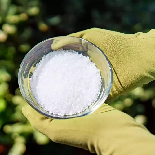 Is Killing Rats with Salt Possible 1