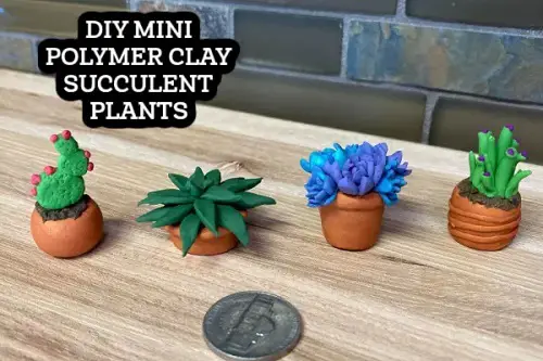Miniature Succulent Pots