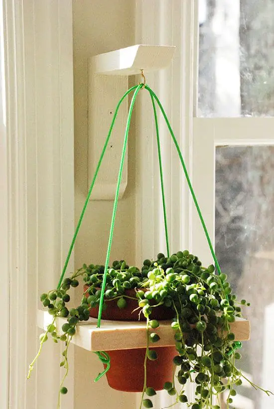 Wall Hanging Planter