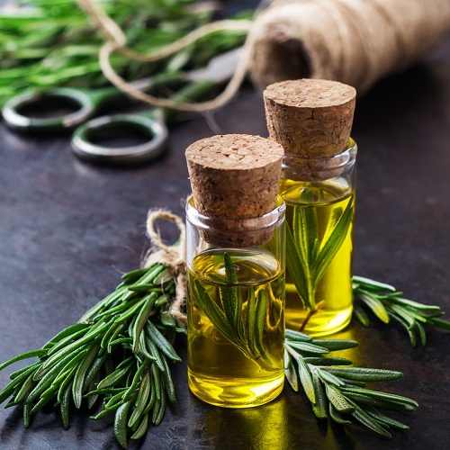 Rosemary Benefits Fighting Macular Degeneration