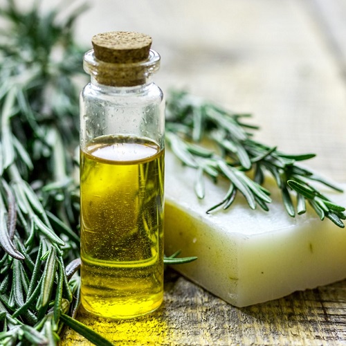 Rosemary Plant in Home Beneficial For Skin