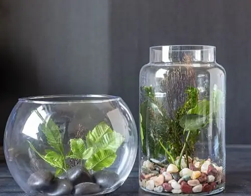 Double Jar Water Garden