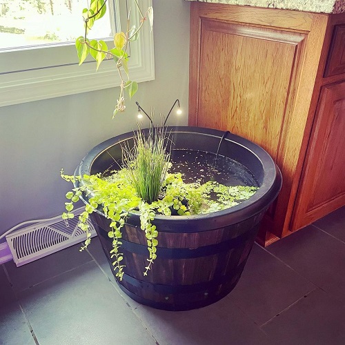 Mini Water Garden with LED Lights