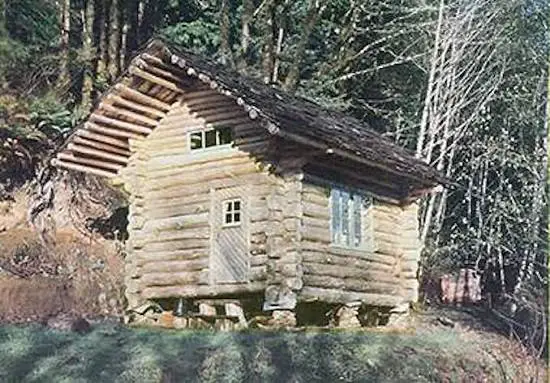 DIY Log Cabin for $100