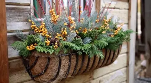 amazing Plant Combination Ideas for Container Gardens