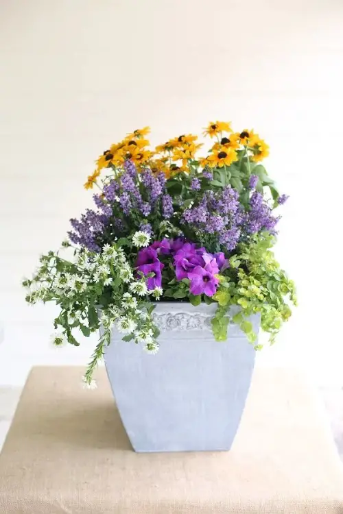 top Ideas for Plant Combinations in Container Gardens 