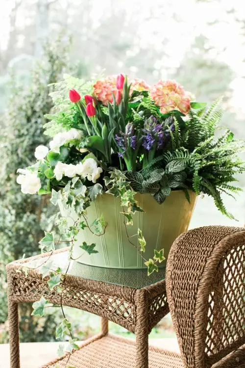 Plant Combination Ideas for Container Gardens 