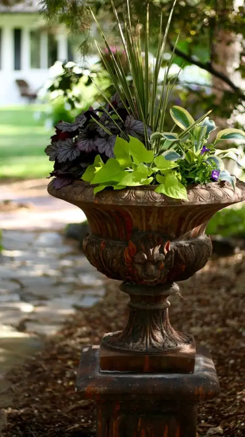 Ideas for Plant Combinations in Container Gardens 