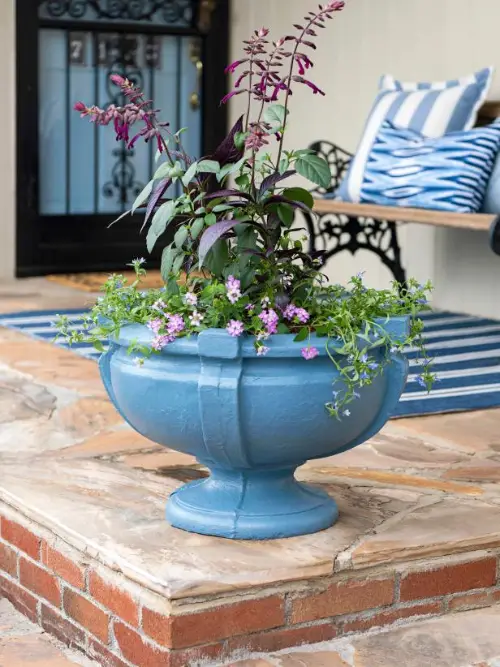 top Plant Combination Ideas for Container Gardens 33