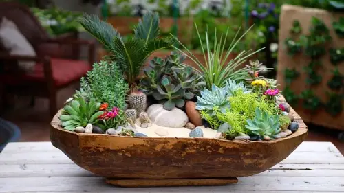 beautiful Plant Combination Ideas for Container Gardens