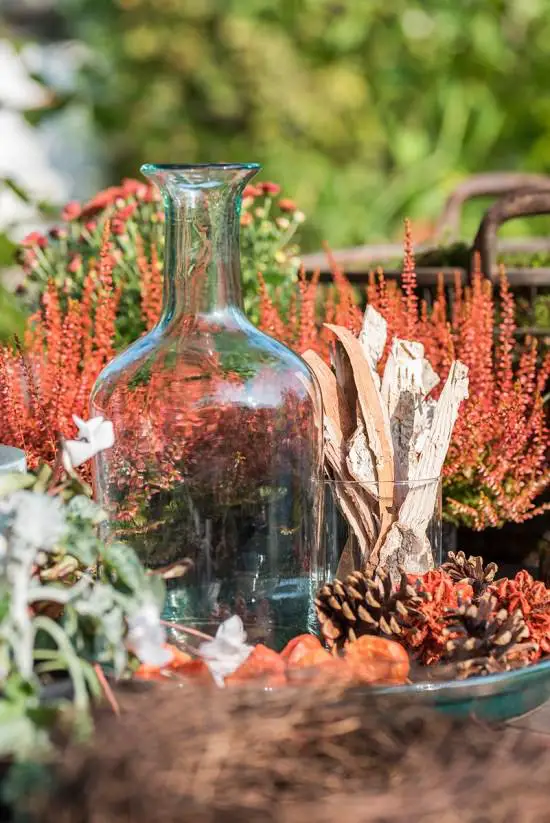 Fall Balcony Garden