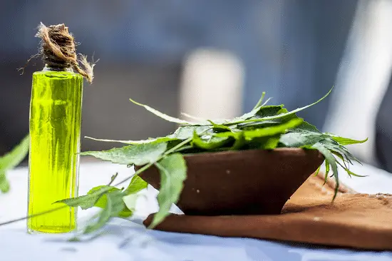 Organic Neem Oil Uses for Garden 9