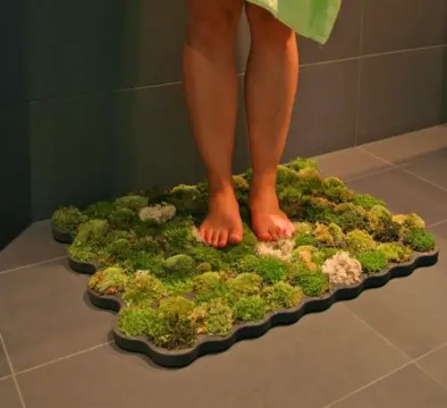 Moss Shower Mat Idea