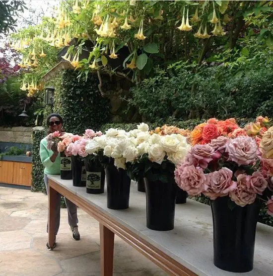 celebrieties that love gardening and growing plants
