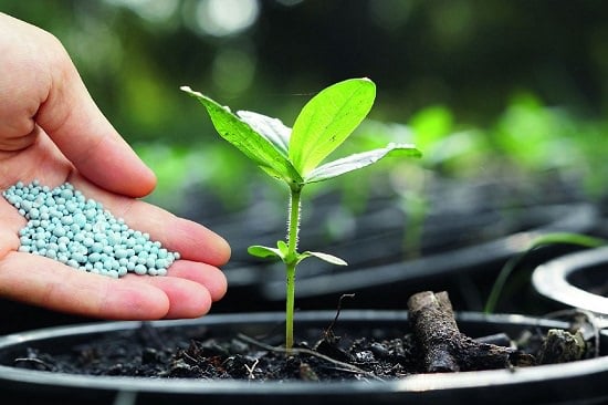 Food for Plants