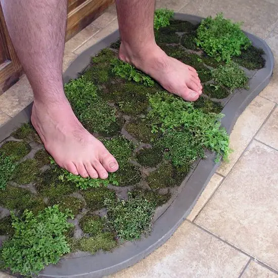 Moss Shower Mat