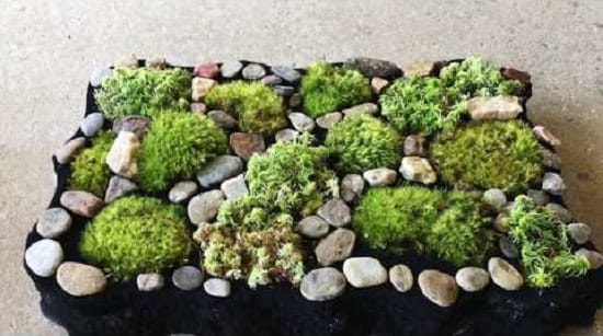 DIY Wildcrafted Moss Bath Mat