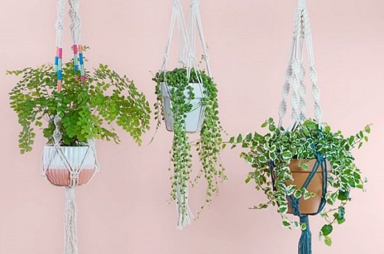 DIY Rope Plant Hanger Ideas 2