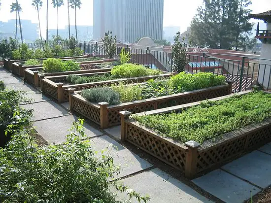 Urban Herb Garden